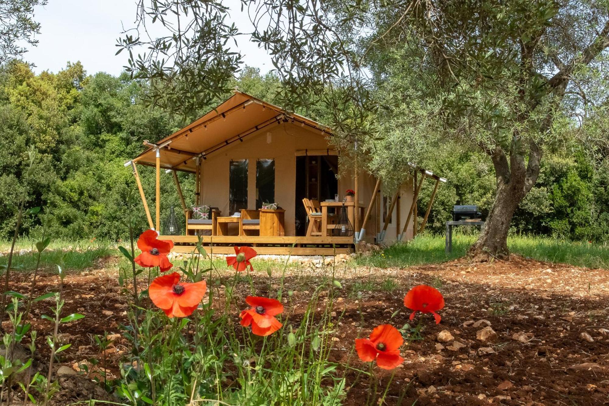 Domus Olea Glamping Hotel Ceglie Messapica Exterior photo
